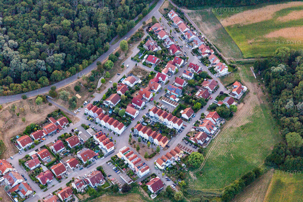 Luftbild: Im Schnabel in Wörth am Rhein im Bundesland Rheinland-Pfalz in Deutschland. Foto: IMG_134108.jpg vom 21.08.2022 durch Werner Riehm/FLY-FOTO.de