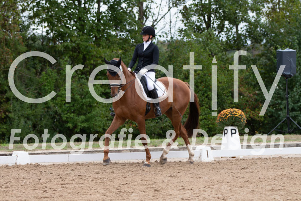 IMG_7646 | Creatify Fotografie