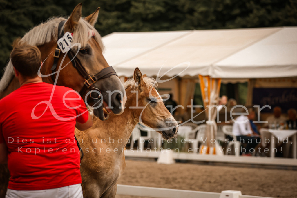 SaHF00036 | Leoni Ertmer Photography - Realisiert mit Pictrs.com