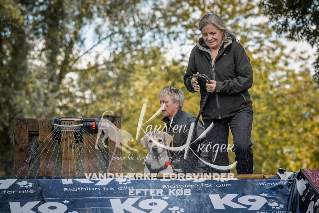 1548_ZZ90719 | kk-dogfotos