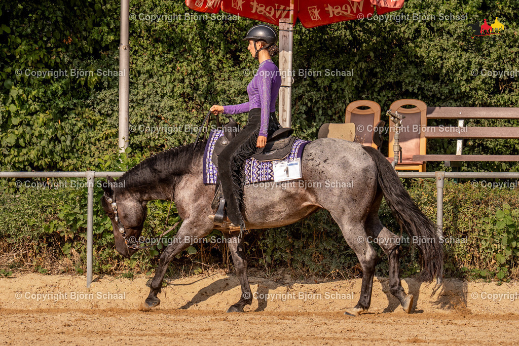 LMS07419 | BS-foto