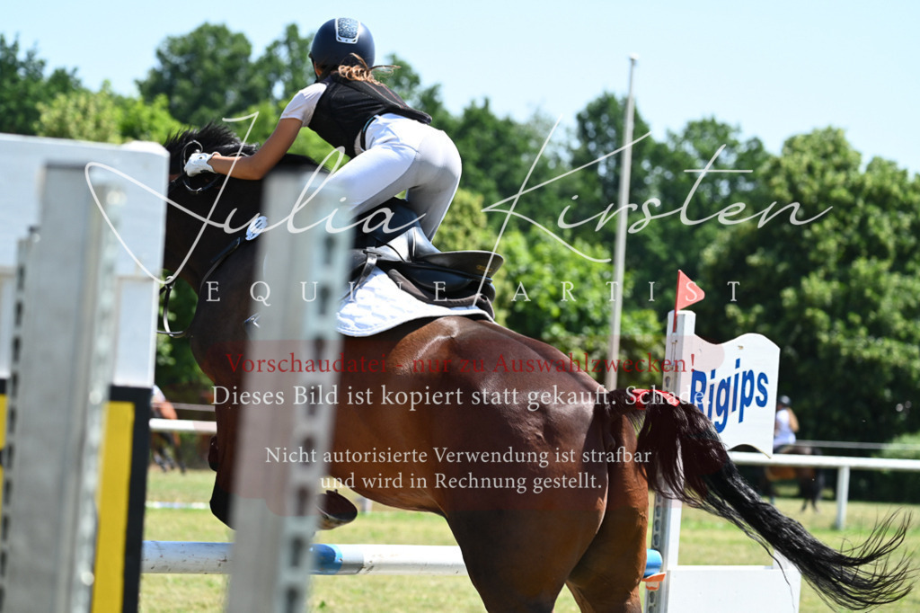 DSC_0535 | Pferde- und Turnierfotografie in Westsachsen. Pferdeportraits, Auftragszeichnungen und intuitive Kunst.