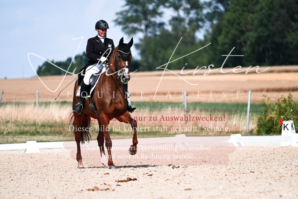 DSC_3228 | Pferde- und Turnierfotografie in Westsachsen. Pferdeportraits, Auftragszeichnungen und intuitive Kunst.