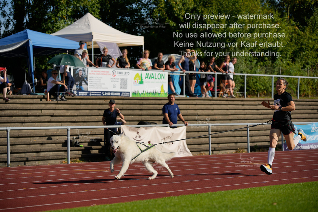 Sonntag_Staffel (114 von 336) | stephaniefillaphotographie - Realisiert mit Pictrs.com