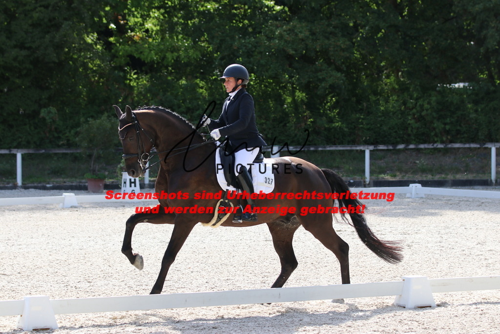 IMG_5563 | lmwpictures - Realisiert mit Pictrs.com