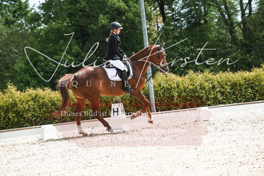 20230518_JK-Röhrsdorf-11-0293 | Pferde- und Turnierfotografie in Westsachsen. Pferdeportraits, Auftragszeichnungen und intuitive Kunst.