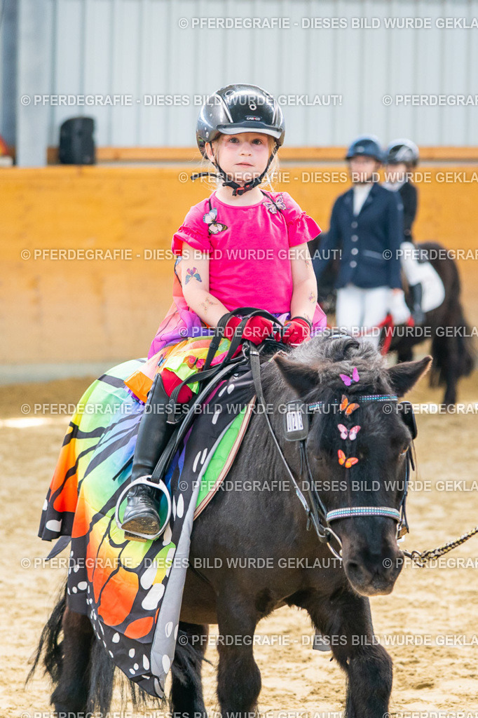 DSC00476 | Pferdegrafie