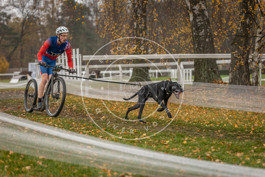 CaniXpix_DV3A8005 | Hundefotografie, Tierfotograf, Pfotenfotografie, Fotoshooting Hund, Hunde Portrait, Hundesport, Hundeportraits, Heideshooting, Hunde, Sportfotograf, Hundefotograf, Turnierhundsport, THS,  - Realisiert mit Pictrs.com