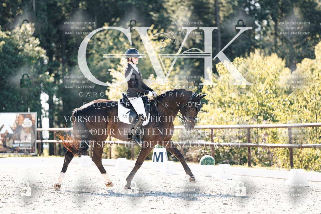 CK905776 | Turnierfotografie Pferdefotografie Trier Rheinland-Pfalz Pferdesport Reitsport Tierfotografie Sportfotografie Pferdevideo Pferdevideografie Equestrianvideography equestrianphotography  - Realisiert mit Pictrs.com