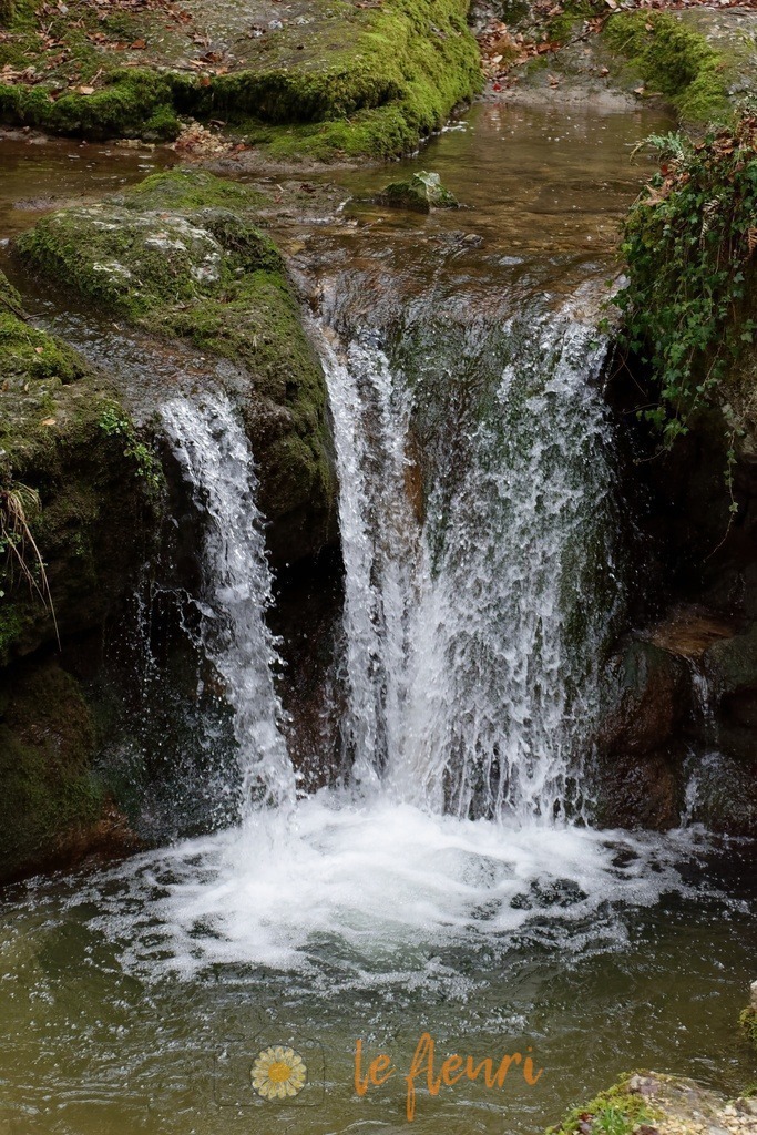 DSC_0034-NEF_DxO_PRIME | Dies ist der Shop von Florian Blum - le fleuri. Langenthal, Bern, SchweizSie können hier meine oder ihre eigenen Fotos als Fotoprodukte kaufen. Tassen, Schlüsselanhänger, Taschen etc. können Sie hier gestalten.  - Realisiert mit Pictrs.com