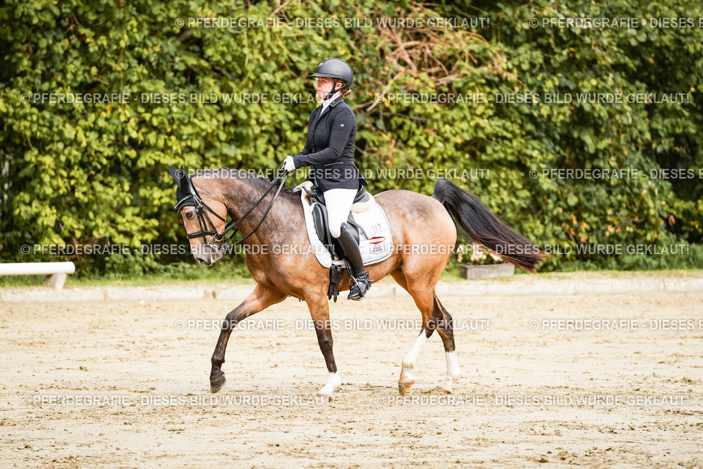 DSC02568 | Pferdegrafie