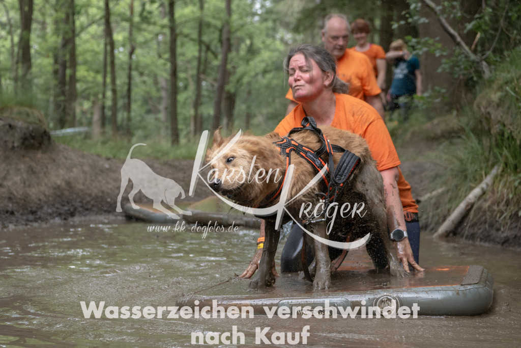 1344_ZZ95705 | kk-dogfotos