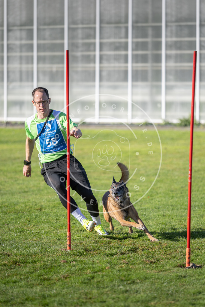 Pfotenfotografie.de_DV3A3357 | Hundefotografie, Tierfotograf, Pfotenfotografie, Fotoshooting Hund, Hunde Portrait, Hundesport, Hundeportraits, Heideshooting, Hunde, Sportfotograf, Hundefotograf, Turnierhundsport, THS, canicross - Realisiert mit Pictrs.com