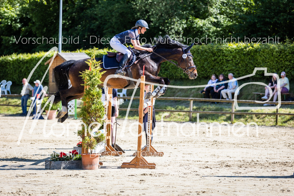 Donop24-M-Spr-083 | MomenTaufnahmen Pferdesportfotos