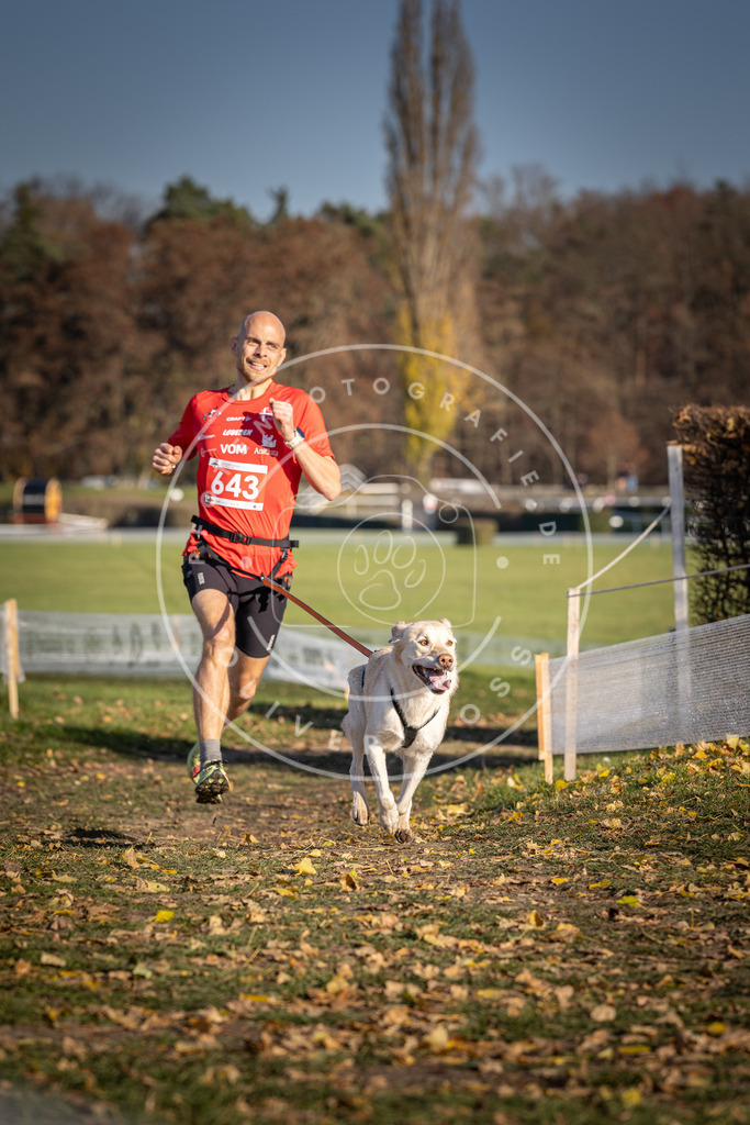 CaniXpix_DV3A0363 | Hundefotografie, Tierfotograf, Pfotenfotografie, Fotoshooting Hund, Hunde Portrait, Hundesport, Hundeportraits, Heideshooting, Hunde, Sportfotograf, Hundefotograf, Turnierhundsport, THS,  - Realisiert mit Pictrs.com