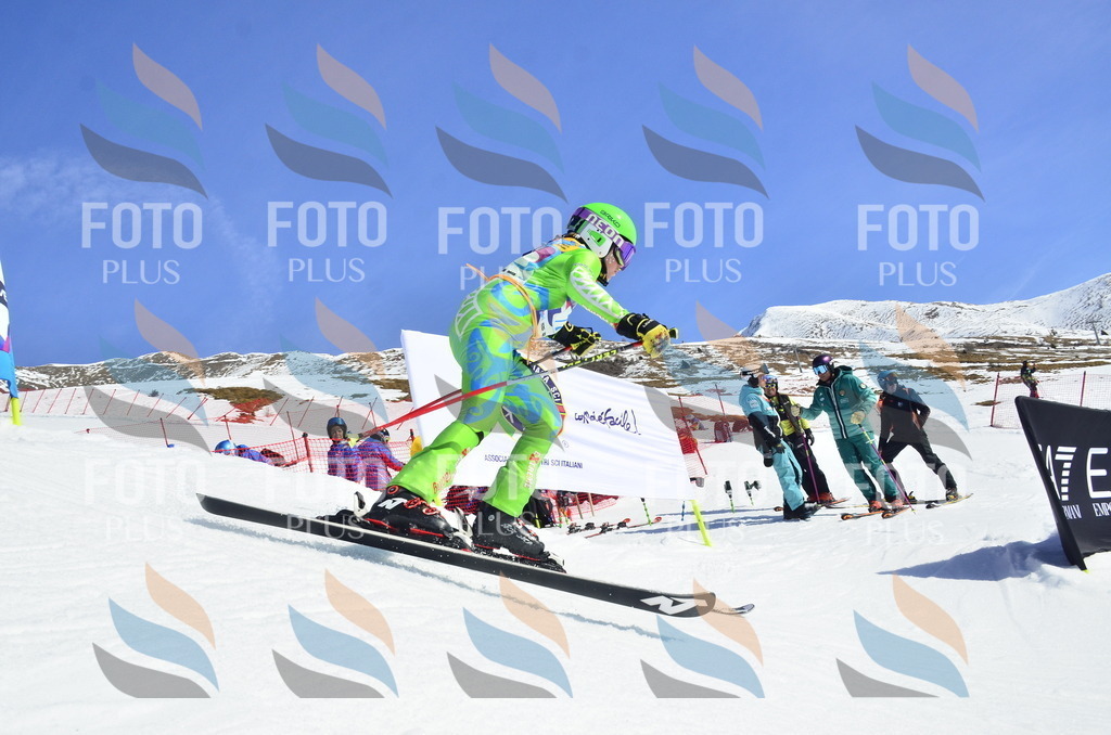 _ELE0380 | holidayphoto