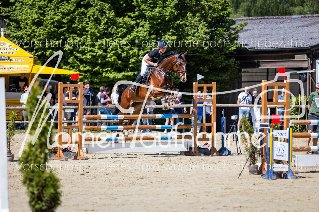 Donop24-ASprmstA-072 | MomenTaufnahmen Pferdesportfotos