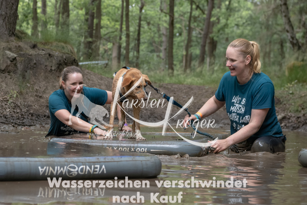 1347_ZZ95972 | kk-dogfotos