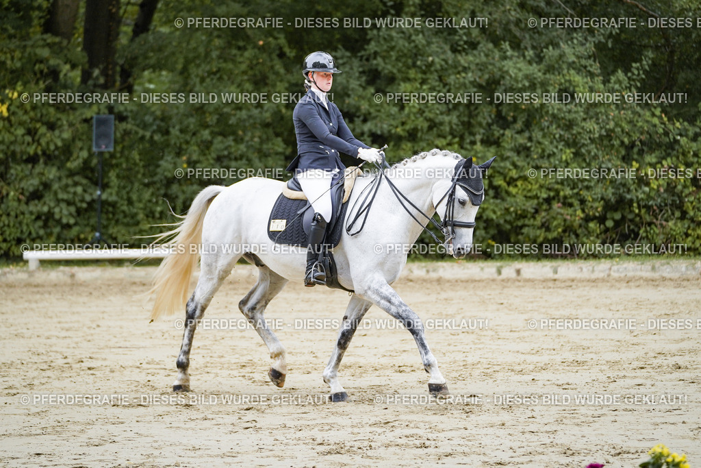 DSC08522 | Pferdegrafie