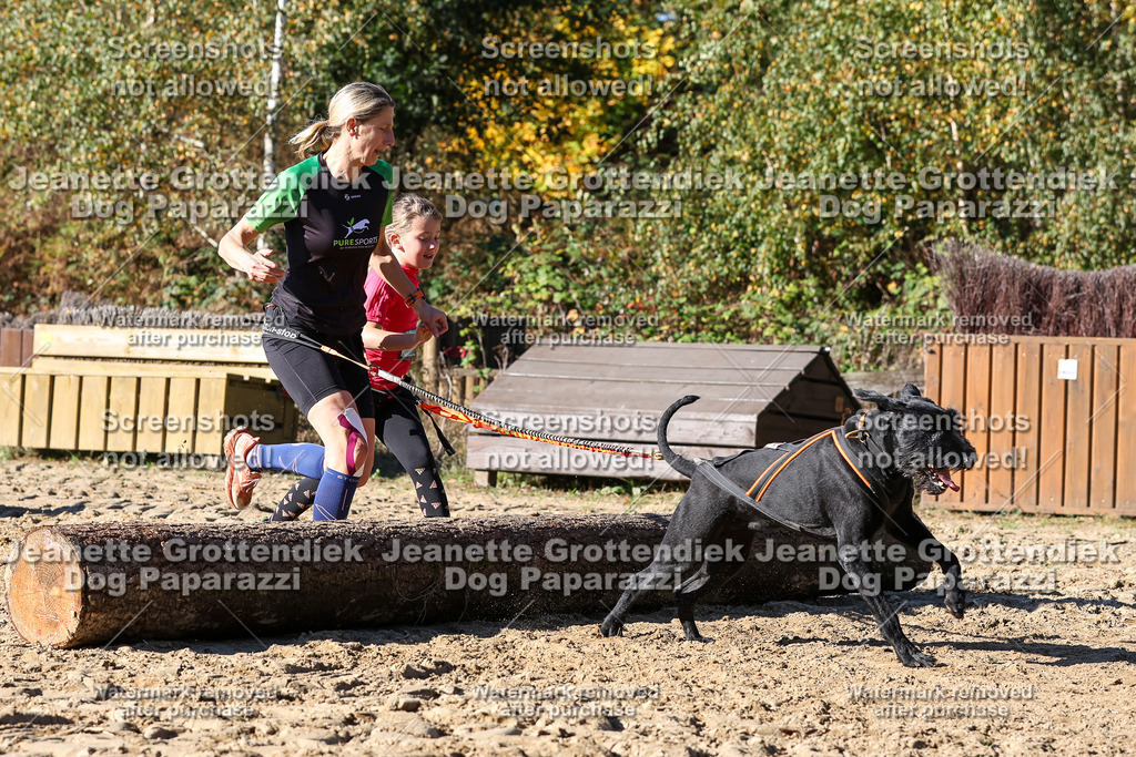 Dog Paparazzi - Strongdog 10-25-2747 | Dog Paparazzi Jeanette Grottendiek Fotografie & Videografie - Realisiert mit Pictrs.com