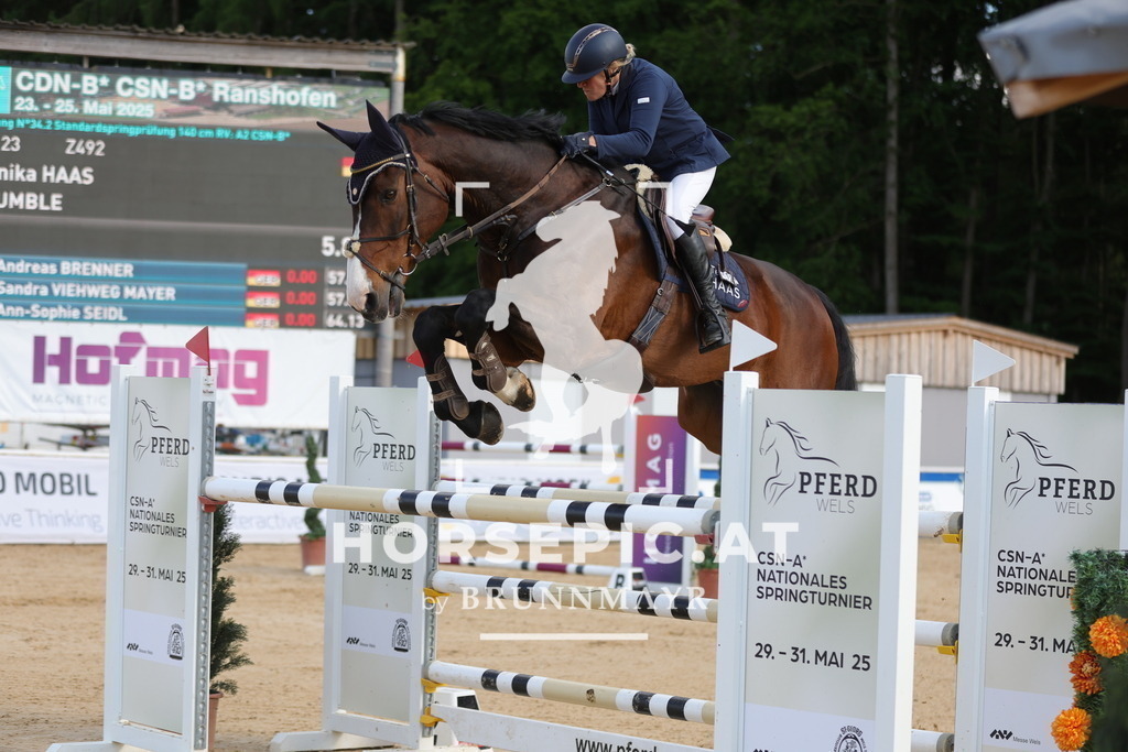 0P6A9724 | Willkommen bei Brunnmayr - Design & Fotografie – Ihrem Spezialisten für Reitturniere und Pferdeveranstaltungen in Oberösterreich, Salzburg und Bayern! Seit über 17 Jahren sind wir leidenschaftlich dabei.