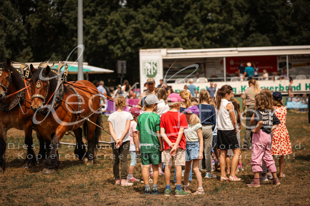 SoShow00247 | Leoni Ertmer Photography - Realisiert mit Pictrs.com