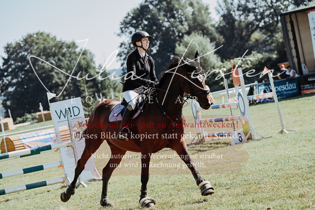 DSC_5628 | Pferde- und Turnierfotografie in Westsachsen. Pferdeportraits, Auftragszeichnungen und intuitive Kunst.