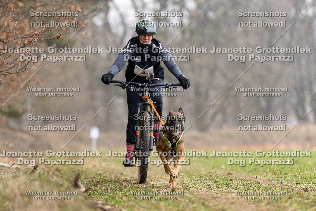 Dog Paparazzi - Plate 2026-6 | Dog Paparazzi Jeanette Grottendiek Fotografie & Videografie - Realisiert mit Pictrs.com