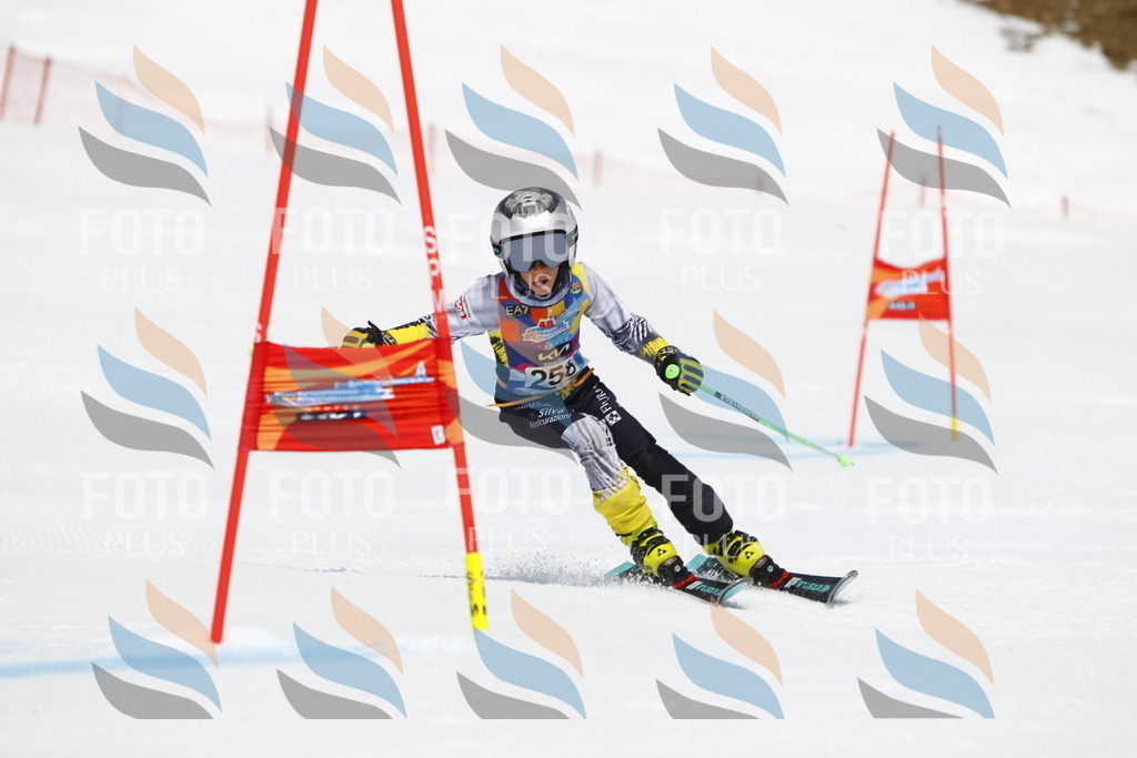 _U3G6484 | holidayphoto