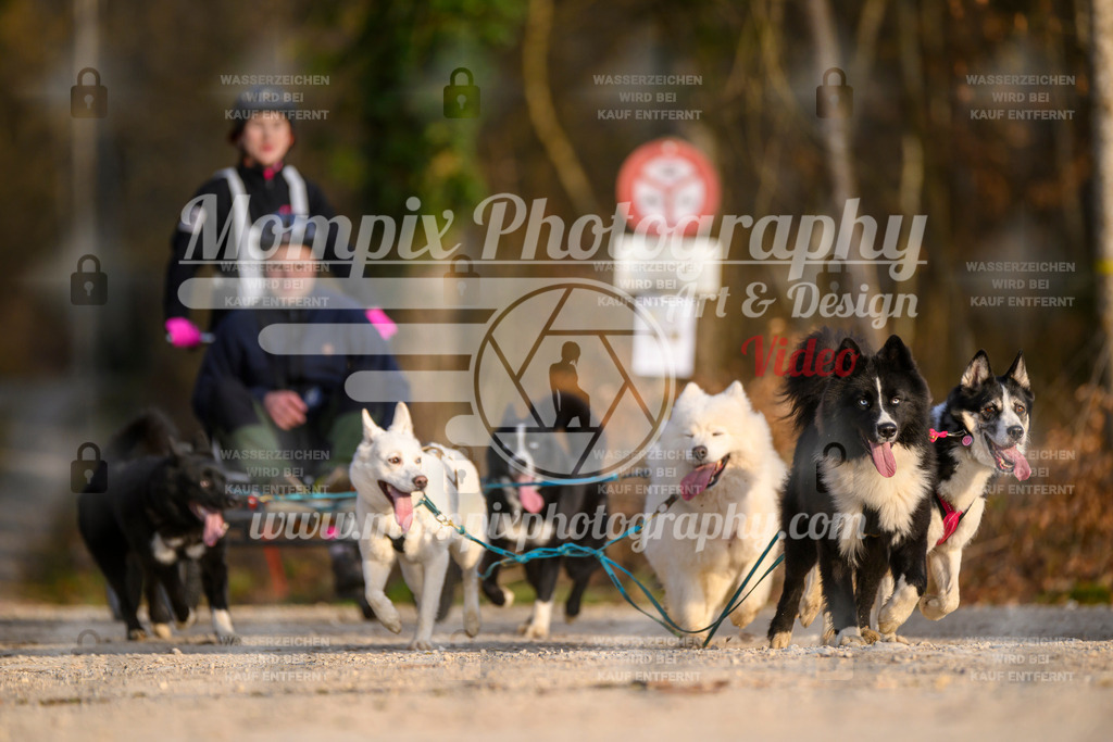 MompixPhotography_6ReiatRennen2026_SO_Kart-30 | PayLife