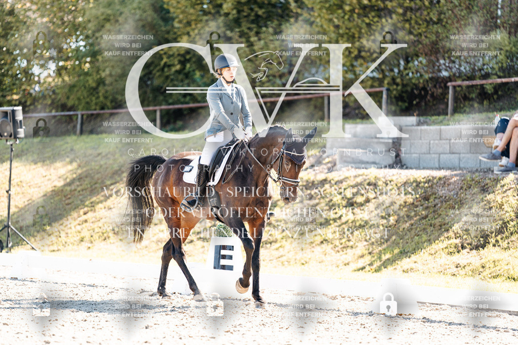 CK908826 | Turnierfotografie Pferdefotografie Trier Rheinland-Pfalz Pferdesport Reitsport Tierfotografie Sportfotografie Pferdevideo Pferdevideografie Equestrianvideography equestrianphotography  - Realisiert mit Pictrs.com