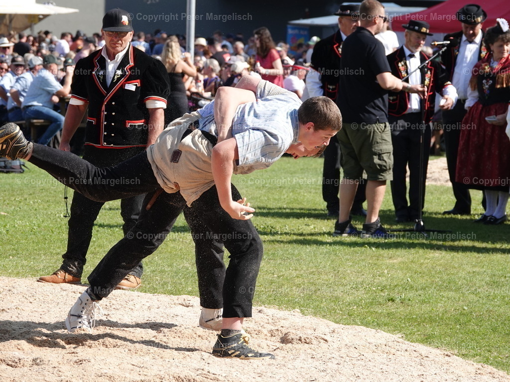 DSC05602 | Schwingen - Realisiert mit Pictrs.com