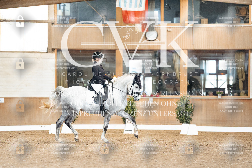 CK900901 | Turnierfotografie Pferdefotografie Trier Rheinland-Pfalz Pferdesport Reitsport Tierfotografie Sportfotografie Pferdevideo Pferdevideografie Equestrianvideography equestrianphotography  - Realisiert mit Pictrs.com