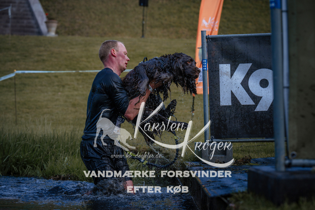 _ZZ971290741 | kk-dogfotos