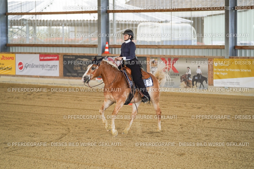 DSC09813 | Pferdegrafie