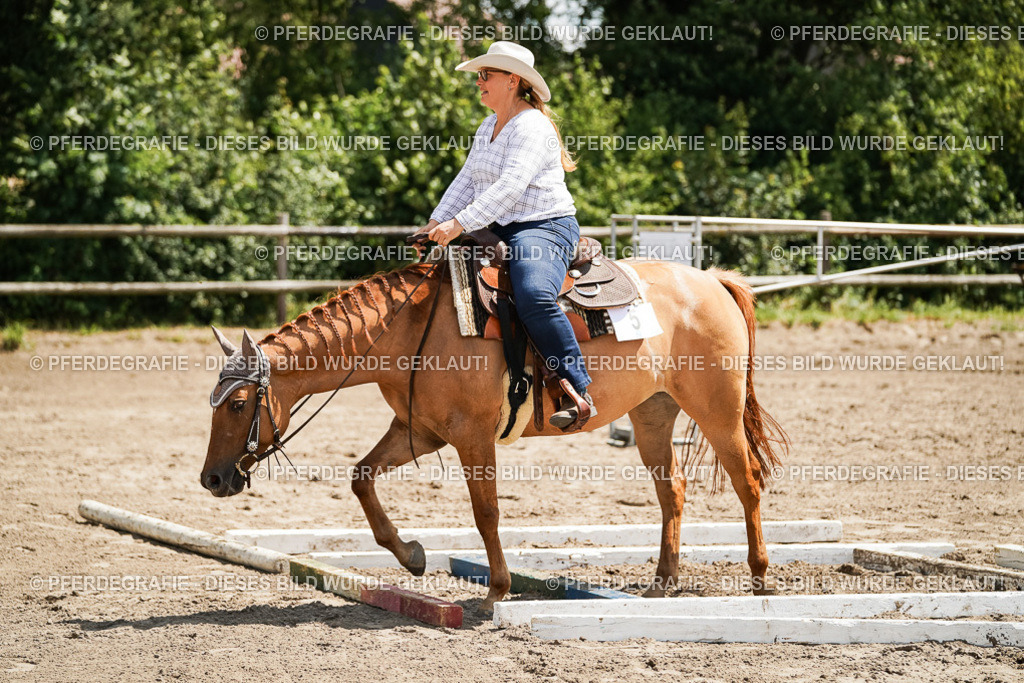 DSC07784 | Pferdegrafie