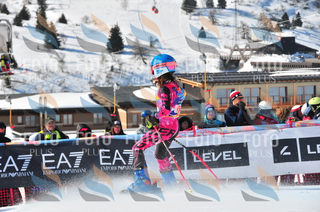 DSC_4275 | holidayphoto