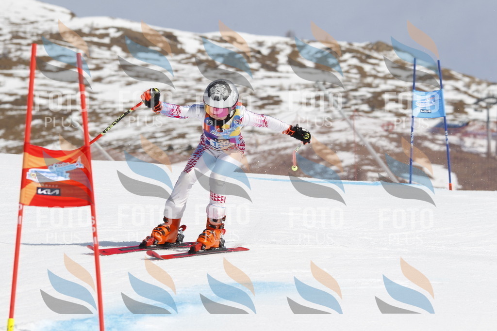 _U3G1366 | holidayphoto