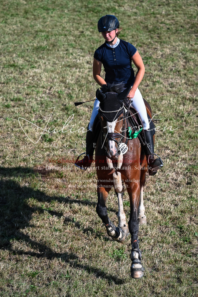 DSC_2634 | Pferde- und Turnierfotografie in Westsachsen. Pferdeportraits, Auftragszeichnungen und intuitive Kunst.