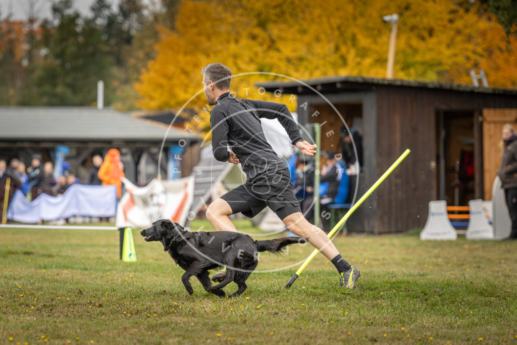 Pfotenfotografie_DV3A5071 | Hundefotografie, Tierfotograf, Pfotenfotografie, Fotoshooting Hund, Hunde Portrait, Hundesport, Hundeportraits, Heideshooting, Hunde, Sportfotograf, Hundefotograf, Turnierhundsport, THS,  - Realisiert mit Pictrs.com