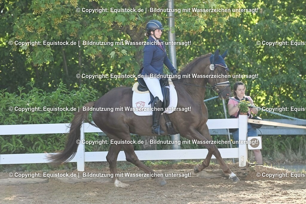 20230715_06_Dressurpferdeprfg. Kl.A_0149 | equistock