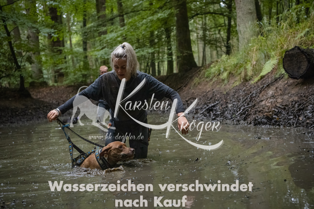 1049_ZZ93578-Bearbeitet | kk-dogfotos