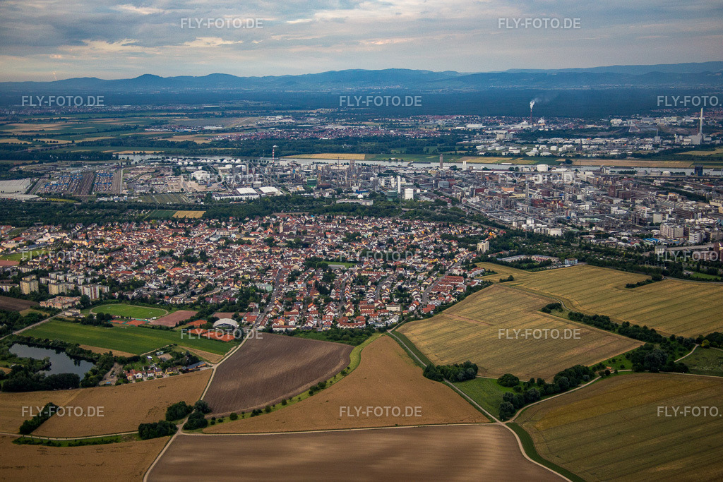 Ortsansicht | Luftbild: Ortsansicht im Ortsteil Oppau in Ludwigshafen im Bundesland Rheinland-Pfalz in Deutschland. Foto: IMG_091046.jpg vom 04.07.2016 durch Werner Riehm/FLY-FOTO.de - Realisiert mit Pictrs.com