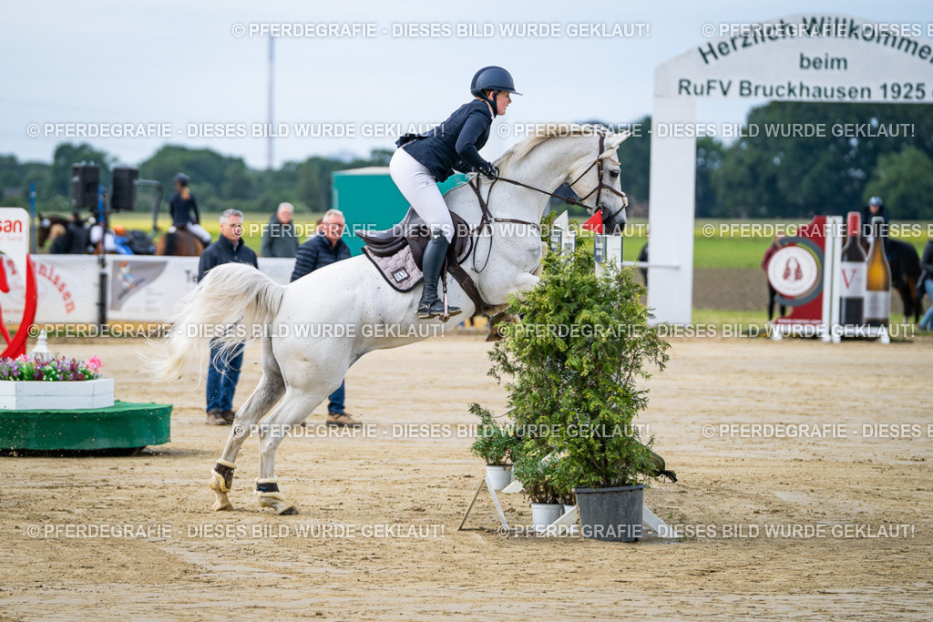 DSC03322 | Pferdegrafie