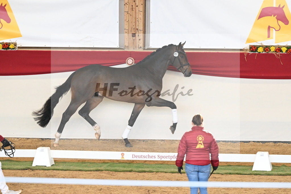 Kat.-Nr. 88 v. Zackerey_Rakelbusch_3261316 | hf-fotografie - Realizzato con Pictrs.com