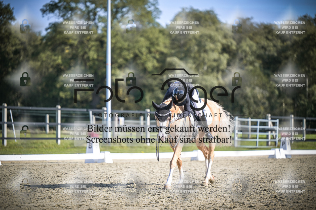 DOS_2283 | Entdecke hochwertige Reitturnierfotos von Foto Oger. Professionell, emotional und authentisch – jetzt Lieblingsmomente im Shop bestellen.Deutschlandweite Turnierfotografie. - Realisiert mit Pictrs.com