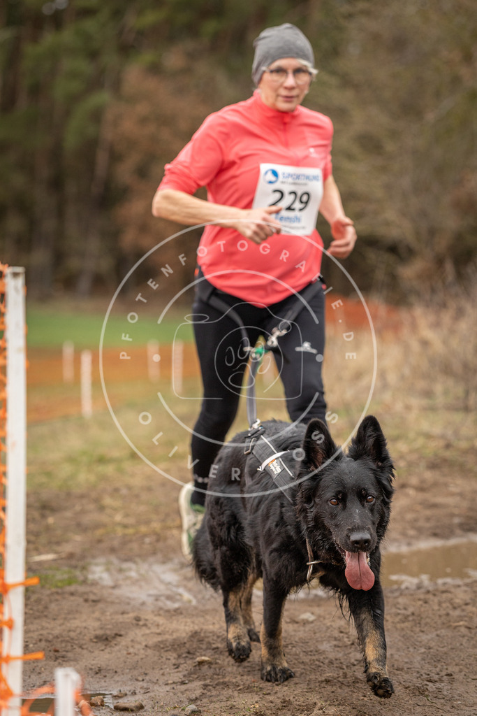 DV3A3066 | Hundefotografie, Tierfotograf, Pfotenfotografie, Fotoshooting Hund, Hunde Portrait, Hundesport, Hundeportraits, Heideshooting, Hunde, Sportfotograf, Hundefotograf, Turnierhundsport, THS,  - Realisiert mit Pictrs.com