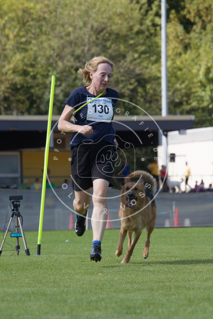 0L8A2917 | Hundefotografie, Tierfotograf, Pfotenfotografie, Fotoshooting Hund, Hunde Portrait, Hundesport, Hundeportraits, Heideshooting, Hunde, Sportfotograf, Hundefotograf, Turnierhundsport, THS,  - Realisiert mit Pictrs.com