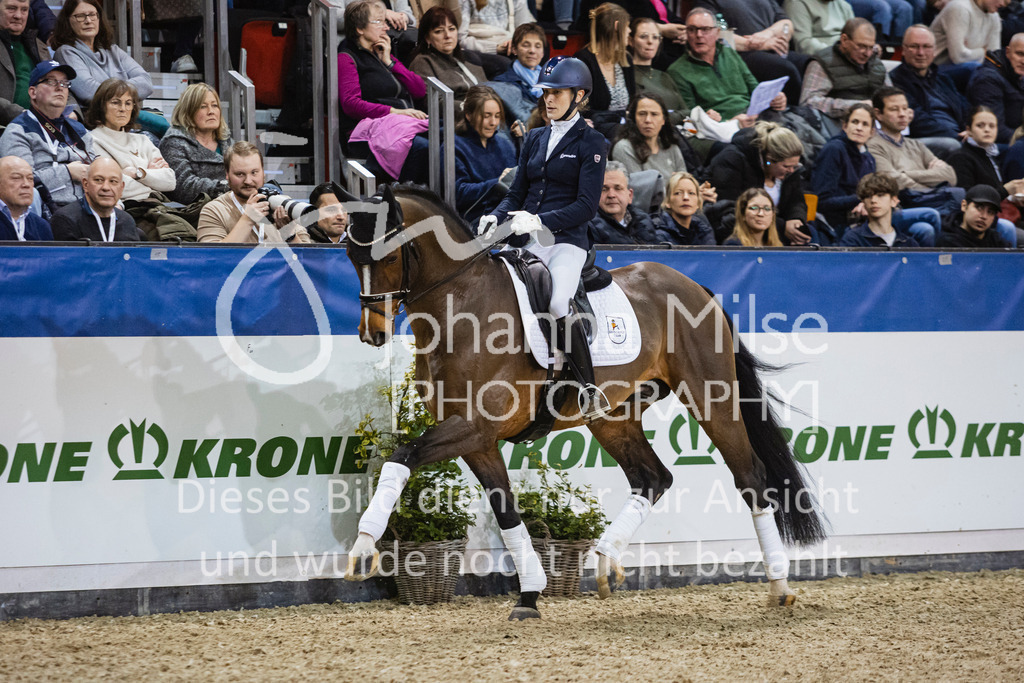250108_Muenster_Hengstpräsentation-166 | Deine schönsten Turniermomente als professionelle Fotos! Entdecke hochwertige Pferdesport-Fotografie im Online-Shop. Jetzt Fotos finden & bestellen!