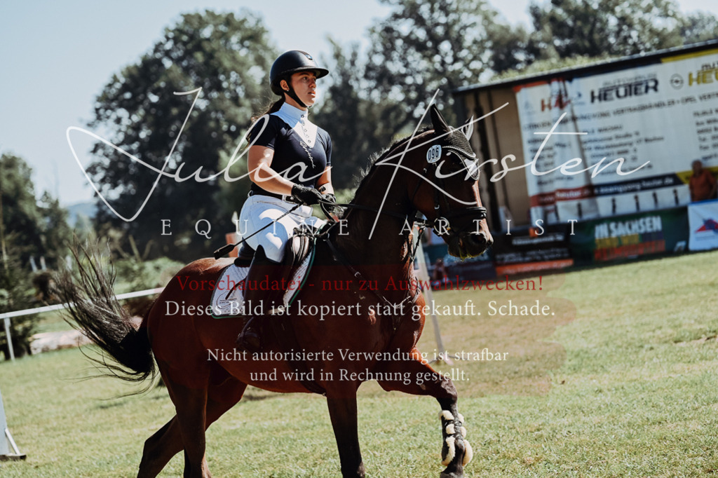 DSC_5701 | Pferde- und Turnierfotografie in Westsachsen. Pferdeportraits, Auftragszeichnungen und intuitive Kunst.